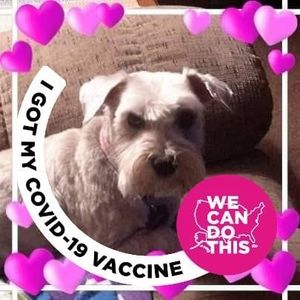 Meet your Posher, Mary